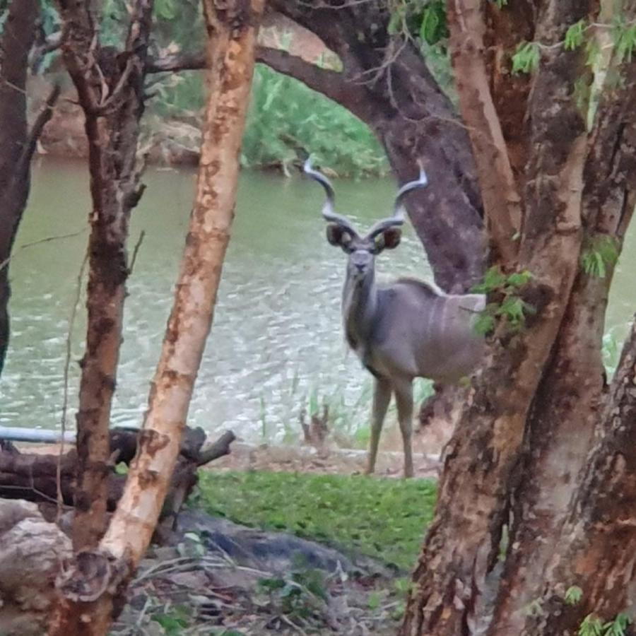 Ekuthuleni River Front Chalets Maruleng Zewnętrze zdjęcie
